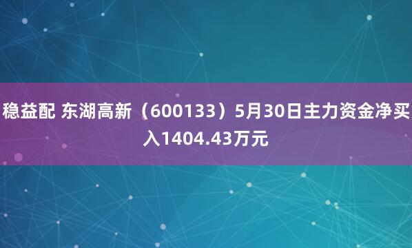 稳益配 东湖高新（600133）5月30日主力资金净买入1404.43万元