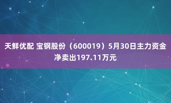 天鲜优配 宝钢股份（600019）5月30日主力资金净卖出197.11万元