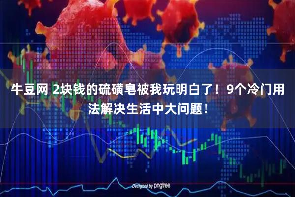 牛豆网 2块钱的硫磺皂被我玩明白了！9个冷门用法解决生活中大问题！