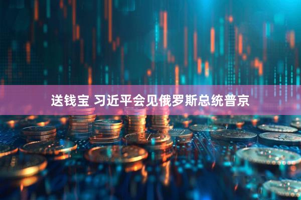 送钱宝 习近平会见俄罗斯总统普京
